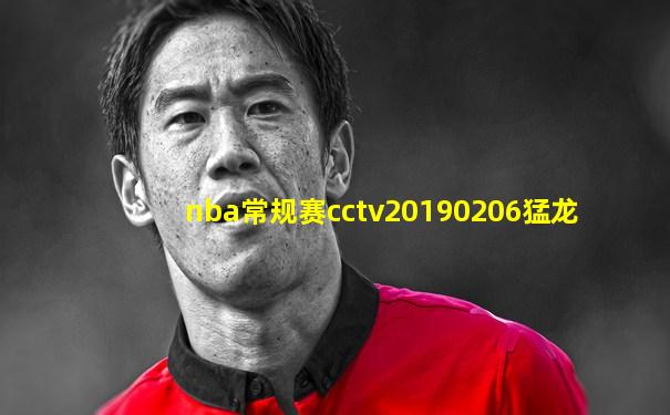 nba常规赛cctv20190206猛龙