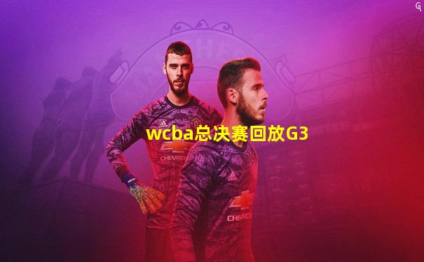 wcba总决赛回放G3