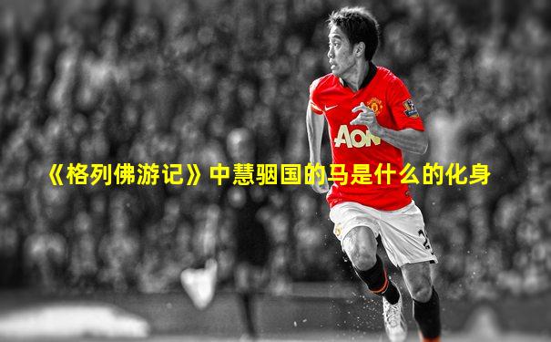 《格列佛游记》中慧骃国的马是什么的化身