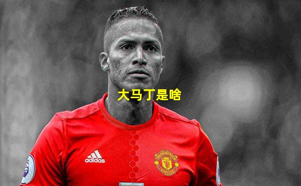 大马丁是啥