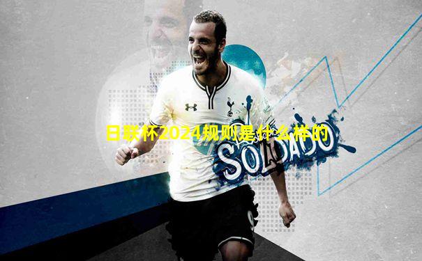 日联杯2024规则是什么样的