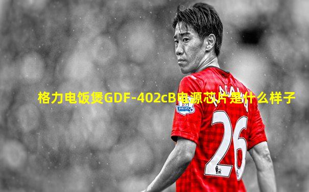 格力电饭煲GDF-402cB电源芯片是什么样子