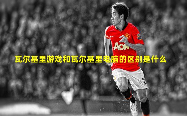 瓦尔基里游戏和瓦尔基里电脑的区别是什么