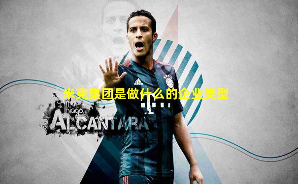 米克集团是做什么的企业类型