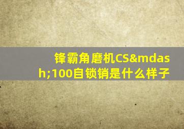 锋霸角磨机CS—100自锁销是什么样子