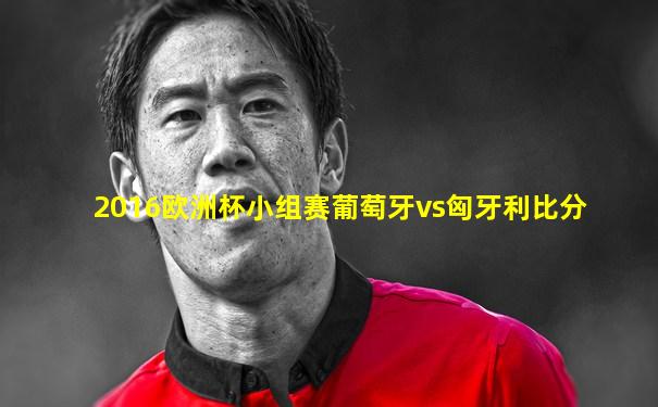 2016欧洲杯小组赛葡萄牙vs匈牙利比分