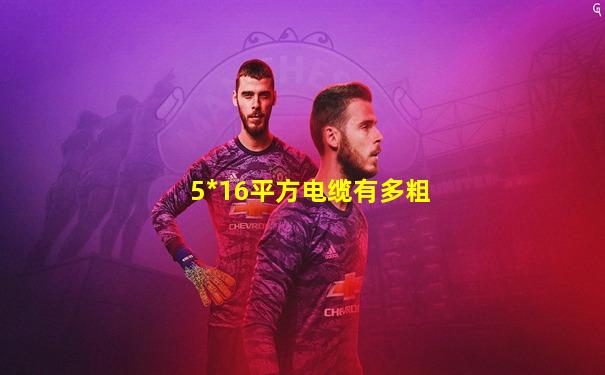 5*16平方电缆有多粗