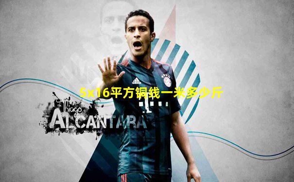 5x16平方铜线一米多少斤