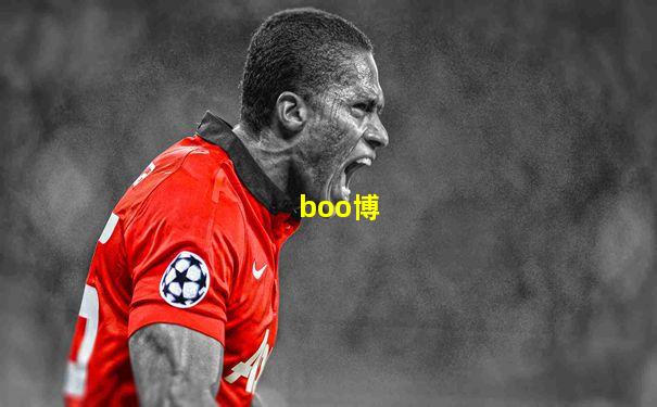 boo博