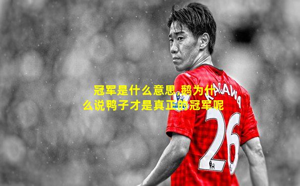 冠军是什么意思,鹅为什么说鸭子才是真正的冠军呢