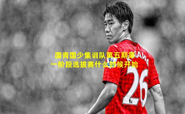 国青国少集训队第五期第一阶段选拔赛什么时候开始