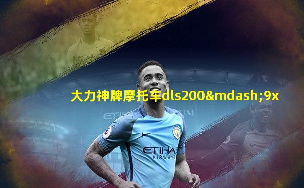 大力神牌摩托车dls200—9x
