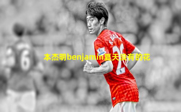 本杰明benjamin夏天没有的花
