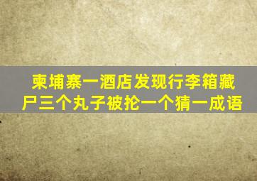 柬埔寨一酒店发现行李箱藏尸三个丸子被抡一个猜一成语