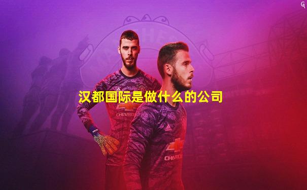 汉都国际是做什么的公司