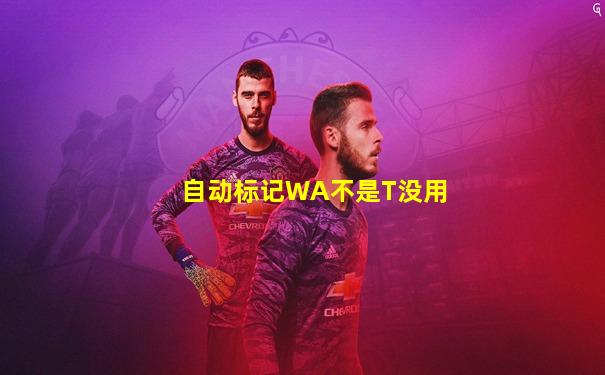 自动标记WA不是T没用