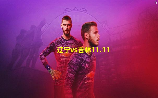 辽宁vs吉林11.11