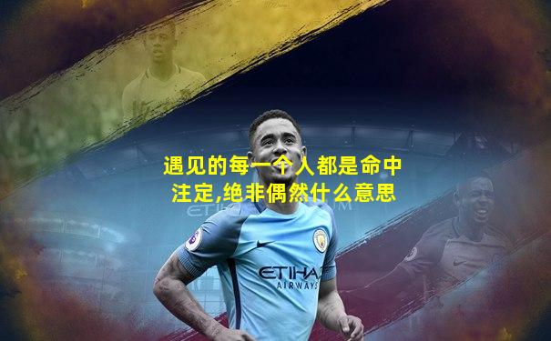 遇见的每一个人都是命中注定,绝非偶然什么意思