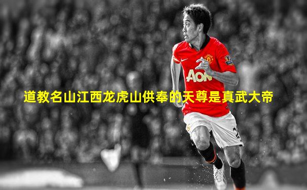 道教名山江西龙虎山供奉的天尊是真武大帝