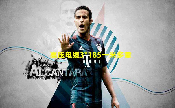 高压电缆3*185一米多重