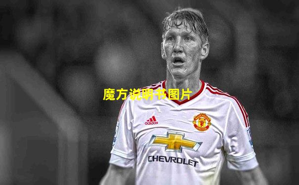 魔方说明书图片